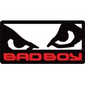 Bad Boy