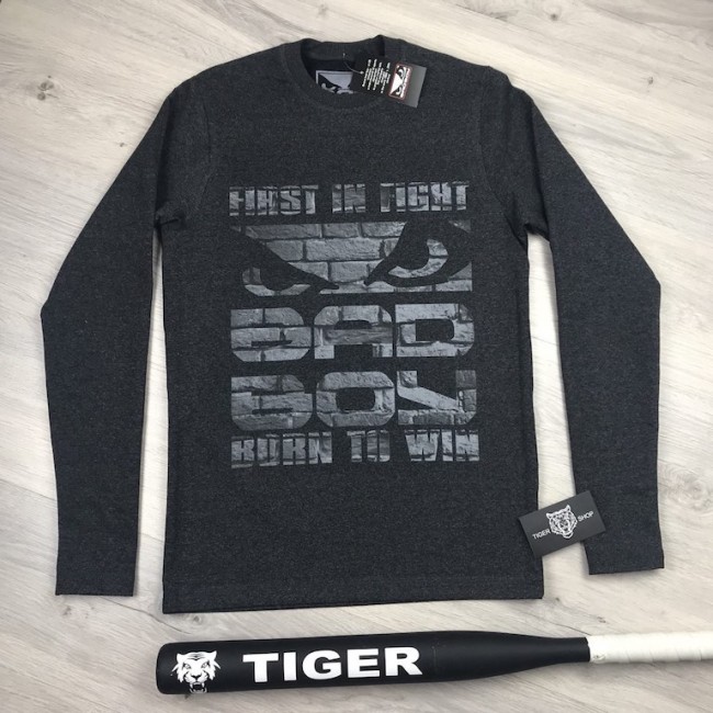 Long sleeve(лонгслив) Bad Boy Briks gray
