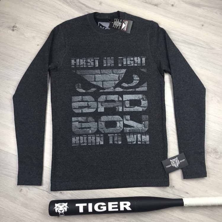 Long sleeve(лонгслив) Bad Boy Briks gray