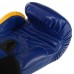 Боксерські рукавиці шкіряні FAIRTEX blue