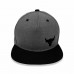 Snapback UA Project Rock Little Logo gray/black